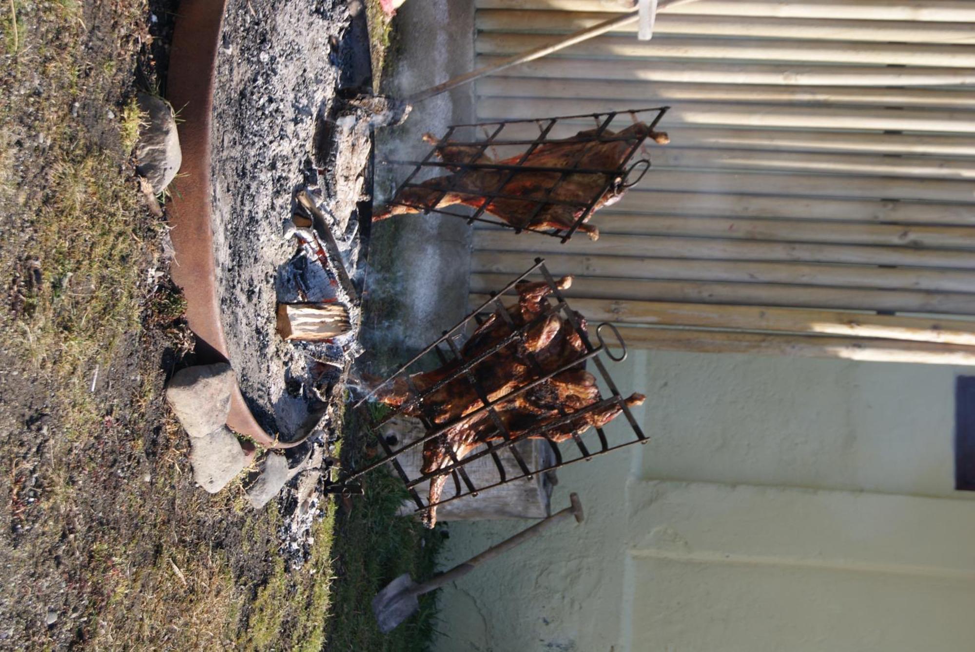 Estancia Rio De Los Ciervos Punta Arenas Zewnętrze zdjęcie
