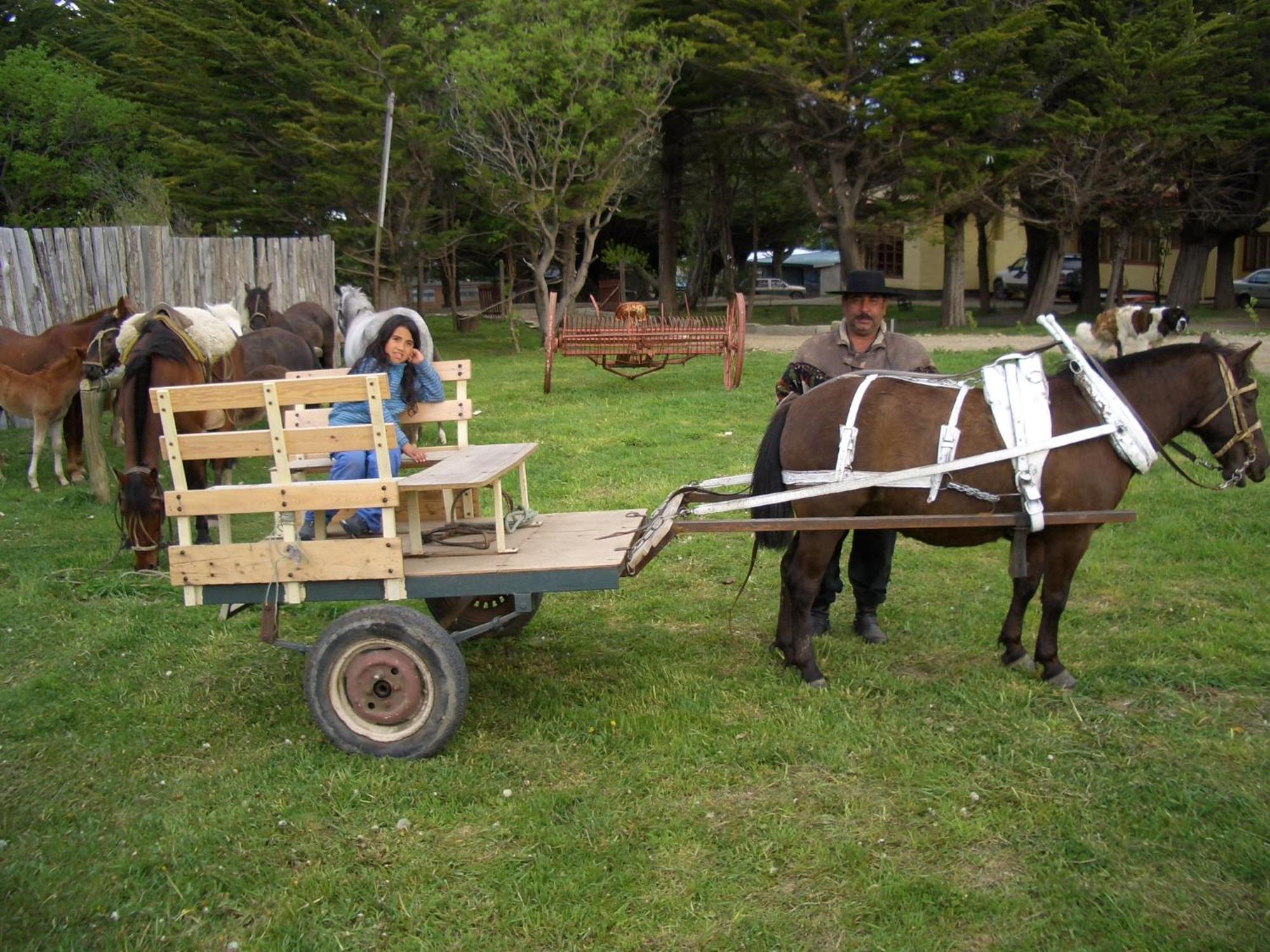 Estancia Rio De Los Ciervos Punta Arenas Zewnętrze zdjęcie