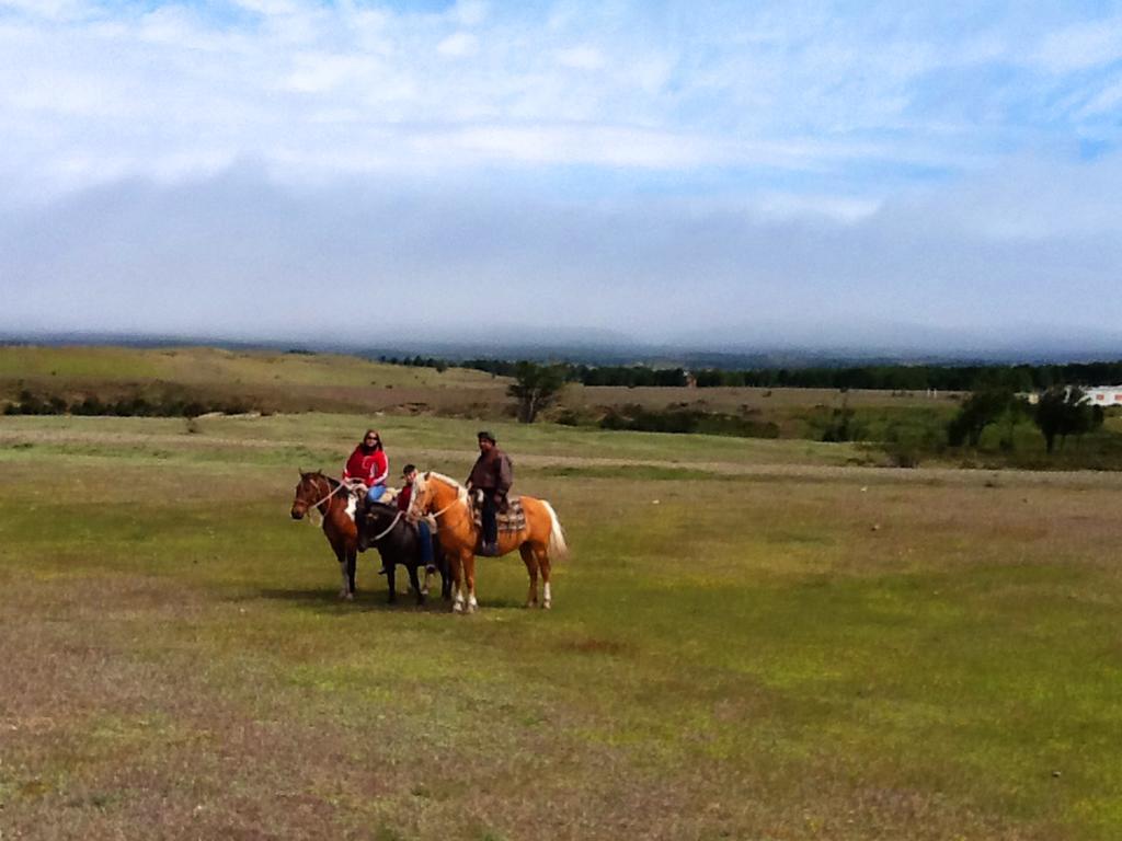 Estancia Rio De Los Ciervos Punta Arenas Zewnętrze zdjęcie